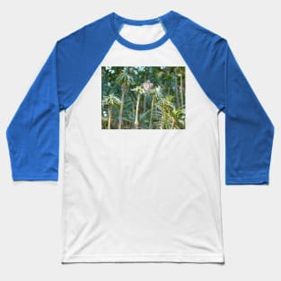 Shaded spectator Baseball T-Shirt